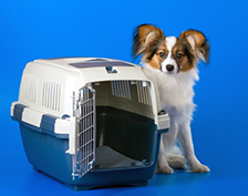 PET CRATES & CRATE MATS