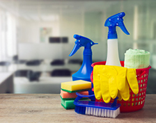  STAIN & ODOR CLEANING PRODUCTS 
