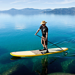 PADDLE GEAR
